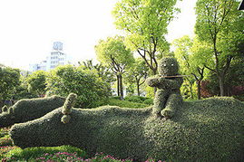 上海奉賢園林綠化工程 打造生態宜居新城的綠色引擎